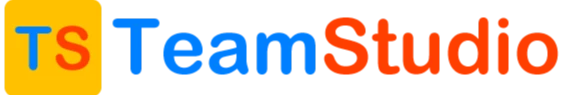 TeamStudio.in